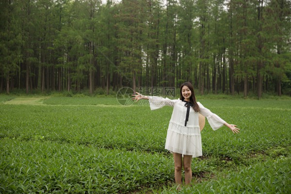 武汉茶艺馆推荐，感受传统茶文化魅力